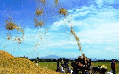 Phl still lags behind in farm technology