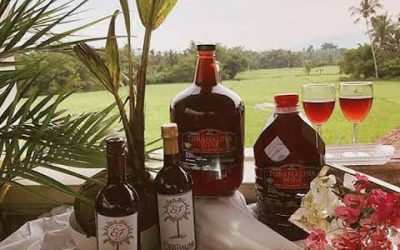 Agrilink 2019 to highlight coconut sector in East Visayas