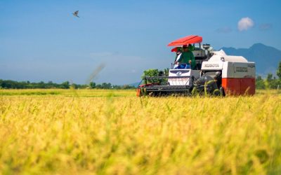 Agrilink 2022: Rice Mechanization Program and Accomplishment Report