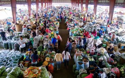 Agri-food hubs are becoming more important