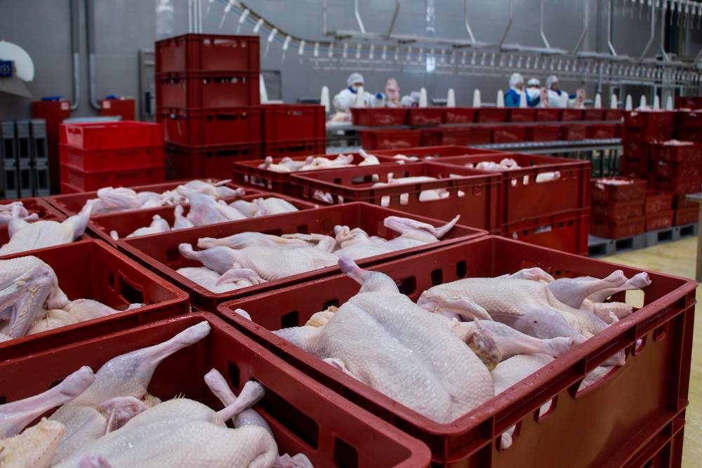 Getting produce to market is one challenge.