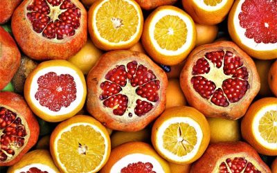 Agrilink 2022: Agribusiness Opportunities: Calamansi, Passion Fruit, and Coconut