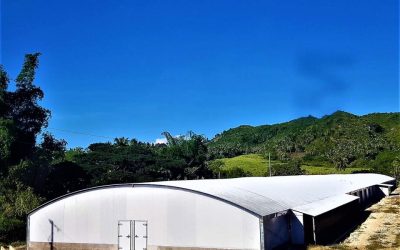 Agrilink 2022: Broiler Turnkey: A Comparison of Multi-Tier, Elevated, and Floor Broiler System