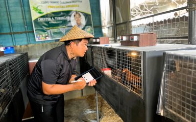 Young Farmers Challenge (YFC) Represent the Future of Philippine Agriculture