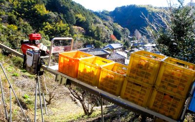 AFLO is Bringing Big Ideas to AgriLink 2025