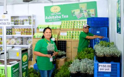 Agrilink Retail Area — Where Innovation Meets Inspiration