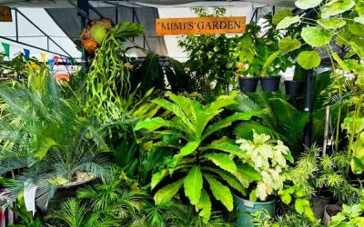 Learn from Passionate Growers, the Outdoor Area has Something for Everyone