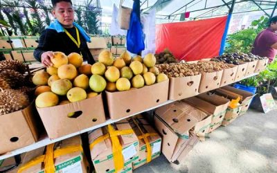 See, Taste, and Experience the Best of Philippine Agriculture at Agrilink2025