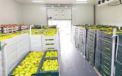 Small-Volume Cold Chain System for First/Last-Mile Distribution of High-Value Crops