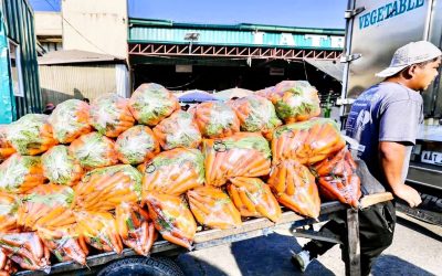 Making food more affordable requires more than a good harvest