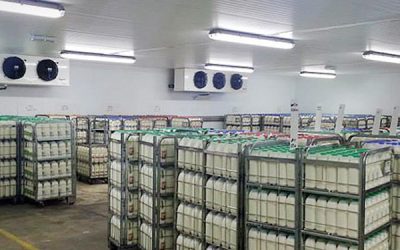 Storage, processing, logistics, trading, and market access need to move as one system