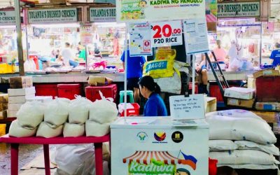 Stronger value chains do not end at the farm gate