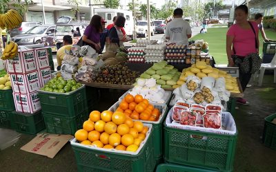 More value can stay with producers when raw products become market-ready goods